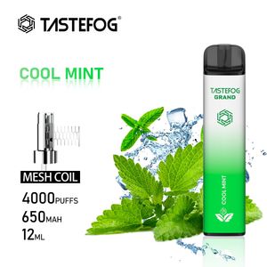 JC Tastefog Grand Rechargable 4000Puffs 0% 2% 5% NC Cool Mint Flavor Электронная сигарета одноразовая ручка Vape
