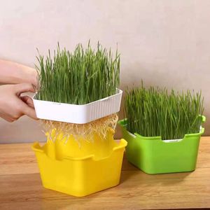 Pentagon Sprout Seed Trays Pots Vegetables Bean Sprout Growing Seedling Flower Pot Nursery Shallot Plant Tray HH22-182