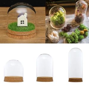 20 X Dia12cm Clear Glass Display Dome Cover Cloche Bell Jar Succulent Terrariums with Wood Cork for Office Table Decor DIY