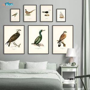 絵画レトロな鳥のポスターとプリント脊椎動物のキャンバス絵画鵜の壁の写真リアリズムアート壁画の家の装飾リビングルーム