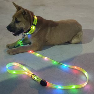 LED Dog Collar Leashes Uppladdningsbara Vattentät USB Light-up Leash Stetsar Justerbar för stor medium hund HH22-50