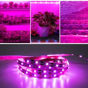 DC 5V LED Grow Light Full Spectrum 5m 10m 10m植物ストリップPhytoランプ野菜の花の苗木テント