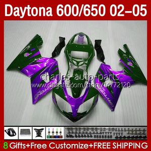 Bodywork Kit för Daytona 650 600 CC 2002 2003 2004 2005 Body 132No.86 Cowling Daytona650 02-05 Green Purple Daytona600 Daytona 600 02 03 04 05 ABS Motorcykel Fairing
