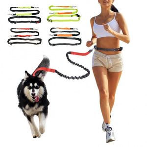 Dog Collars & Leashes Jogging Pet Traction Leash Hands Free With Adjustable Hip Belt Long Reflective Rope Control For One / Two DogsDog