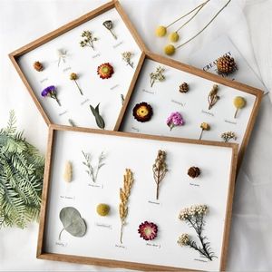 Cutelife White Nordic Wood Po Frame Specimen Plant Vintage Picture wall frames Dried Flowers Picture Poster Frame Home Decor 201211