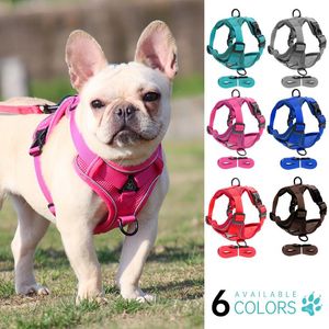 Collari per cani Guinzagli senza imbracatura Gilet regolabile in nylon riflettente per animali domestici con cintura da addestramento per cani Bulldog franceseCane