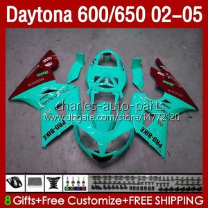 Bodywork Kit för Daytona 650 600 CC 2002 2003 2004 2005 Body 132No.94 Cowling Daytona650 Light Cyan 02-05 Daytona600 Daytona 600 02 03 04 05 ABS Motorcykel Fairing