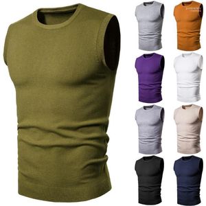 Gilet da uomo 2022 Maglione di cotone maschile Pullover Uomo O-Collo Nessuno Maglioni a manica1 Guin22