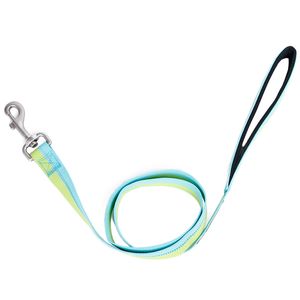 Bicolour Reffortive Walking Training Cord