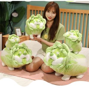 20-50cm Cute Japanese Vegetable Dog Plush Toys Creative Chinese Cabbage Shiba Inu Pillow Stuffed Animal Sofa Cushion Baby Gifts 220425