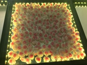 Fabriksdirektförsäljning blommor dansgolv lyser upp ledande golv