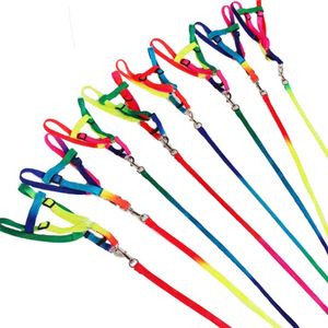 Rainbow Color Tractional Rope Dogs Collars Leash Pet Supplies Harnesses Dog Necklace Traction Nylon Ropes Walk SN4349