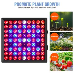 2000W LED Plant Groging Light Light 3000W Phytolamps for Seedlings Bulb 220V屋内成長テントボックスFitolampy US EU UKプラグ