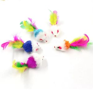Grit de penas colorido pequeno rato gato brinquedos para gato pena engraçado jogando cão animal de estimação gato pequeno animais pena gatinho fy4654 fs14