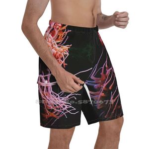 Men's Shorts Sea Life Summer Pants Casual Male Streetwear Aquarium Seattle Anemone Salt Water Ocean LifeMen's