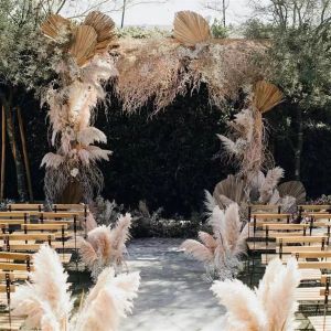 The New Dried flower 20Pcs/lot Whole Phragmites natural dried decorative Pampas Grass for Home Wedding decoration Flower Bunch