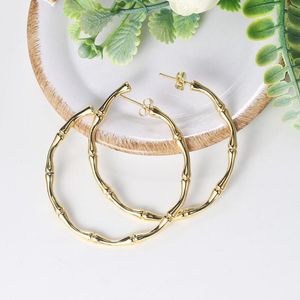 Hoop Huggie Ohrringe Für Frauen Einfache Ästhetische Kreis Bambus Piercing Earing Rose Gold Farbe Koreanische Großhandel Schmuck E249Hoop