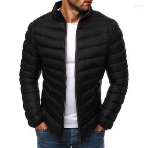 Herren-Daunenparkas, mehrfarbige Winterjacke, Herren, schöne Baumwolle, gepolstert, dicke Jacken, Parka, schmal, langärmelig, Oberbekleidung, Kleidung, warm, Co. Kare2