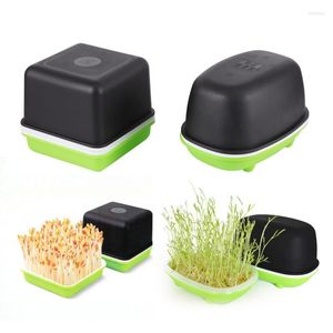 Planters & Pots Seed Sprout Tray Hydroponic Peanut Box Bean Pea Wheat Seedling Sprouter Grow Germination Soilless Planting Pot 1 Pc