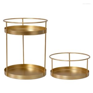 Metal Makeup Organizer Vanity Storage Stand Creaks Jewelry Display Stand Taca Dekoracyjna szminka organizująca skrzynki talerzy