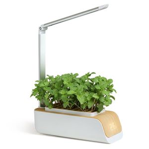 プランター鍋HAVA2022 LEDスマートな水耕薬プランター植栽野菜ミント家庭の植物