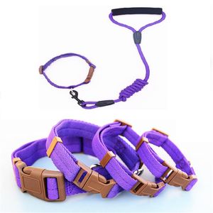 2022 Hundkrage och dragkraft Nylon Dog krage Pet Walking Treh For Medium Large Dogs Puppy 7Colors 4 Storlekar 1,2 m längd