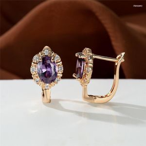 Stud Female Luxury Purple Crystal Hoop Earrings Green Zircon Oval Stone Champagne Gold Color Wedding For Women GiftStud Dale22 Farl22