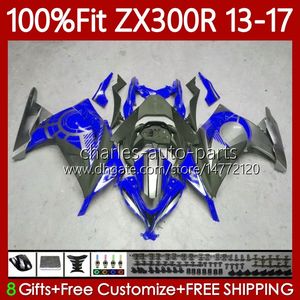 Kawasaki Ninja ZX-300R ZX3R EX ZX 3R 300R 2013 2014 2015 2016 2017 125NO.10 ZX-3R EX-300 Blue Silvery 13-17 ZX300 EX300R ZX300R 14 14 15 16 13 OEM 바디