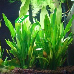 For Plastic Artificial Aquarium, Grass Plant Decorations, Water Tank, Flower, Decoration Ornament, Water Accessories, 1 Piece