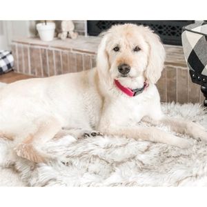 Faux Fur Orthopedic Bed Curve Curve White Rug para Big Medium Small Puppys suporta soltar LJ201028