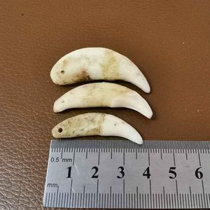 Pendant Necklaces Natural Raw Wolf Tooth Ecru Fang Unbleached Amulet Charm DIY Handmade Dog Teeth Necklace Jewelry Accessory Drop