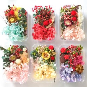 Flores decorativas grinaldas 1 caixa de plantas de cabeça de flores secas coloridas para vela de jóias de pingente de resina epóxi, fabrica de jóias artesanais DIY AR AR