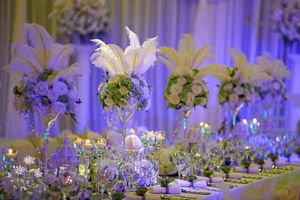 Hot 100 st per parti Naturliga vita strutsfjäderplattor för bröllopsfestbordsdekorationer (många storlekar och färger att välja)