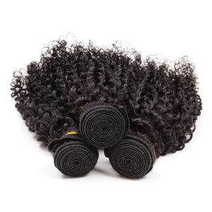 Indian Virgin Human Hair Jerry Curly nieprzetworzone Remy Hair Weaves Double Wefts 100g Pakiet 3 Bundle Lot Free Dhl