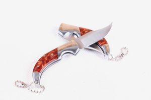 Hochwertiges China-Marken-Wolf-Messer mit kleiner Klappklinge, 5Cr13Mov 56HRC, satinierte Klingen, Schlüsselanhänger-Messer, EDC-Taschenmesser, Kunststoffverpackung