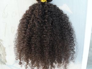 Clipe de trama de cabelo cacheado brasileiro em extensões humanas não processadas Natural preto / marrom cor 9 pcs 1set Afro Kinky onda