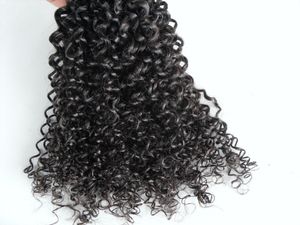 New Brazilian Human Curly Hair Weft Clip In Human virgin remy Hair Extensions Unprocessed Natural Black  Brown Color 9pcs set