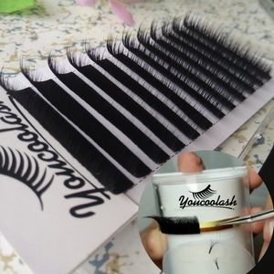 Neuer Store 50 %+ Rabatt auf Youcoolash 3D-6D 0,07 Volumen Wimpernverlängerung, gemischte Länge in einem Wimpernstreifen, Camellia Eyelash Pandora Wimpern