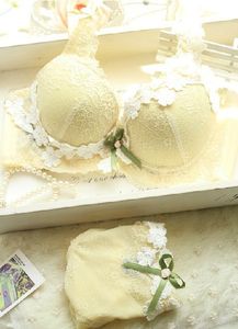Wholesale-New 2015 luxury deep V lace flower embroidery sexy bra set vs push up BRA&Panties,underwear women bra set gathered lingerie