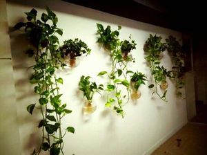 Artificial Flowers großhandel-Glaswand Terrarien set hängender Wand Pflanzer Vase Wandschüssel Zimmerpflanze auf Wanddekor Hausverzierung