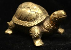 Kina Fengshui Bronze Brass Lucky Lycklig Longevity Tortoise Turtle Statue A