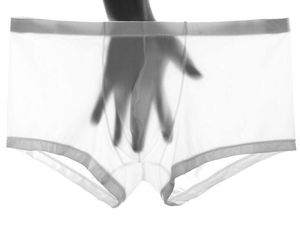 Wholesale JQK Mens Ice Silk Underpants Ultra Thin Transparent Man Boxer Shorts One Piece Seamless Underwear Plus Size 10 Colors 410