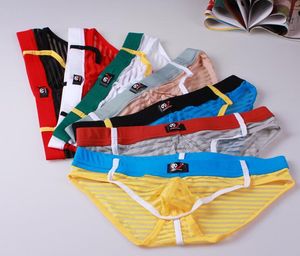 wholesale Wangjiang Men's underpants stripes gauze sexy underpants briefs silky thin panties cuecas #4006SJ