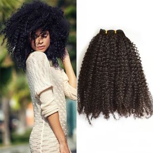 Brazylijski Afro Kinky Curly Remy Klip do włosów w przedłużania 4C Virgin Hair Clip Ins for African American FDSHINE