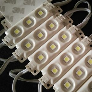 Waterproof IP68 5050 SMD 3 LED Module Injection Molding Light Strip Lamp Warm White Pure White DC12V