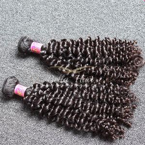 10-24inchグレード9Aインド人の人間の髪の毛の織り2個/ロット自然色の高品質の巻き毛の延長送料無料