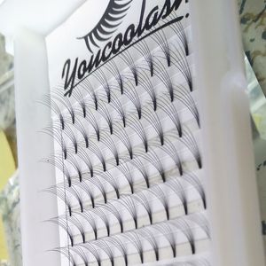 New Fashion 5D Premade Volume Lash Fans Individual Eyelash Extensions handmade luxury Lashes top quality for professional