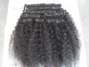 Brazilian kinky curly hair weft clip in unprocessed natural black color human virgin remy extensions can be dyed