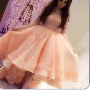 Blush Pink Ruffle High-Low Organza Prom Dress Arabic Dubai Evening Dress High Neck Lace Fashion Designer Party Glows Custom