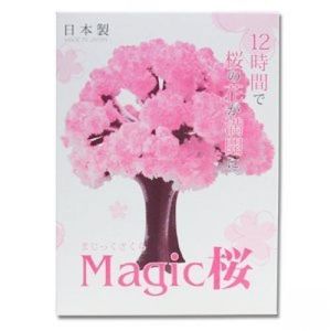 iwish 2017 visual 14x11cm rosa grande crescer papel mágico árvore sakura magicamente cultivo de árvores japonesas kit desktop flor de cerejeira natal 100 pcs